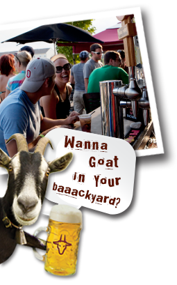 Want a goat in your backyard?
